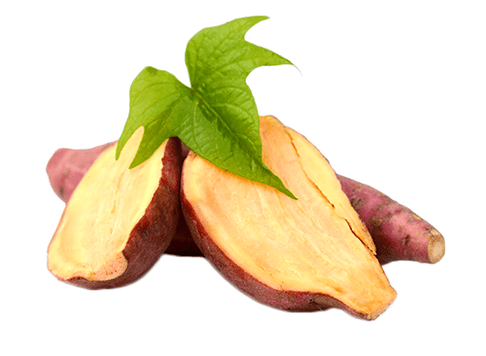 Yaconwurzel in Reduslim