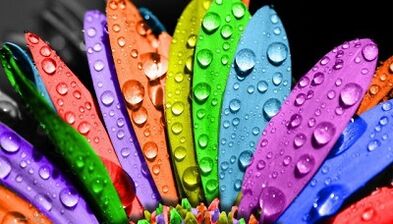 Wie man mit der 6-Blütenblätter-Diät Gewicht verliert